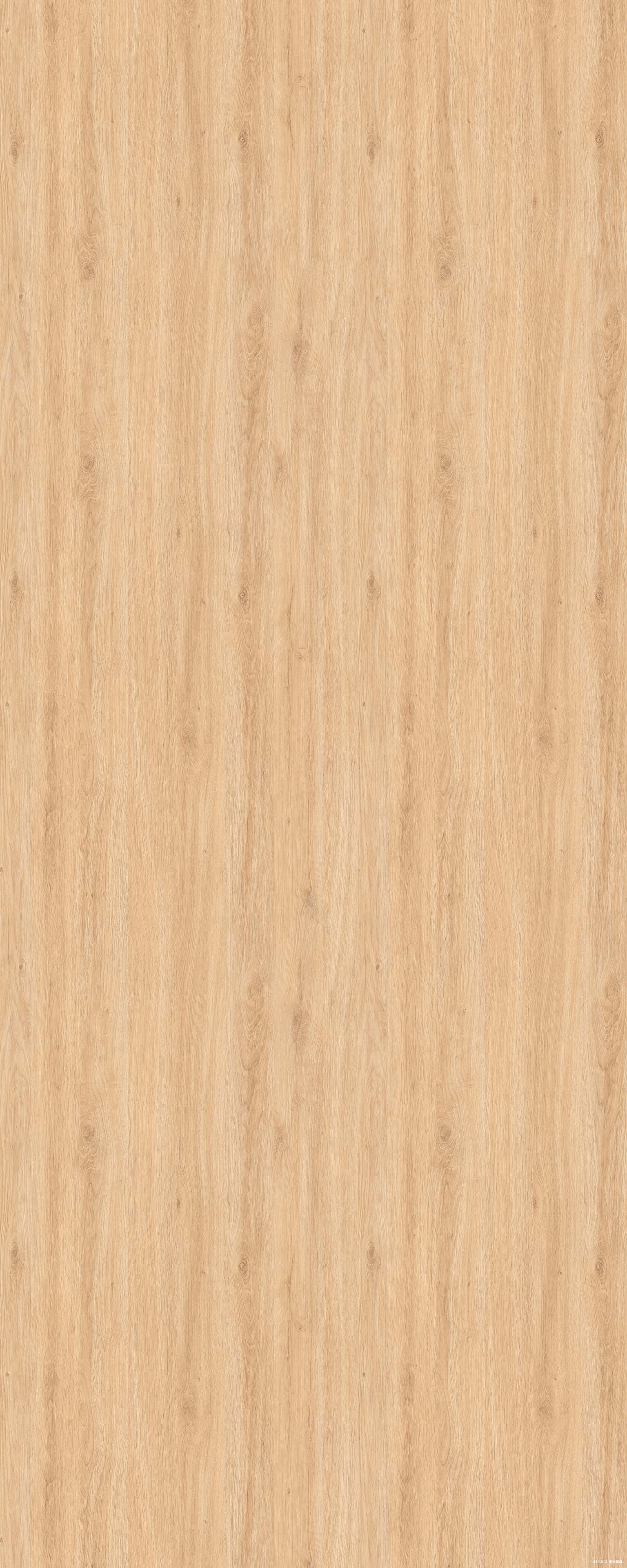 HSM012American Yellow Oak大.jpg HSM012American Yellow Oak大.jpg