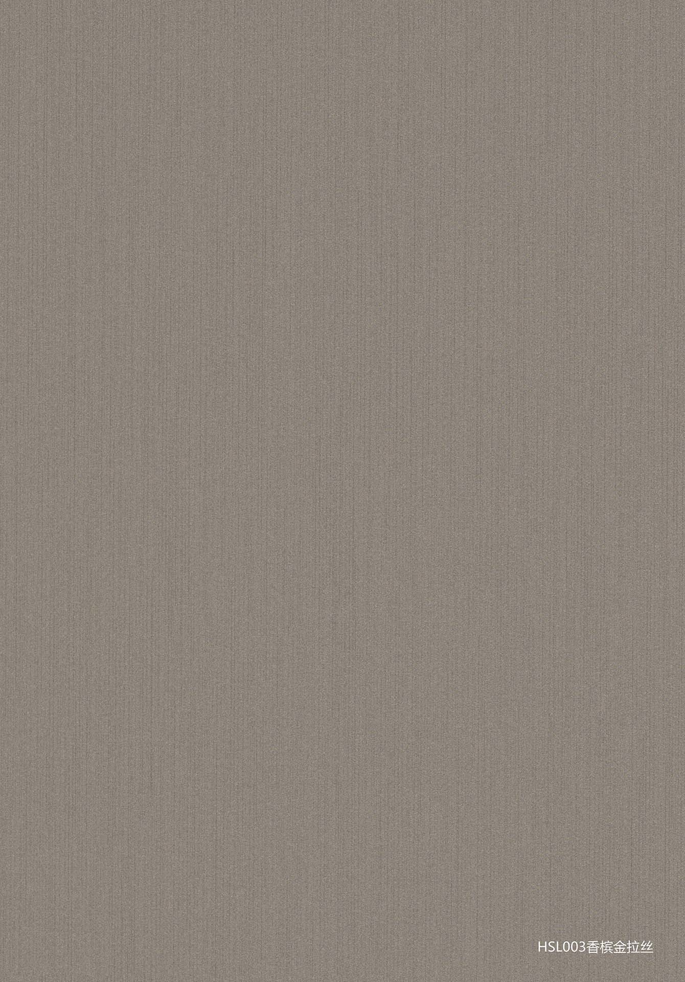 HSL003Champagne Gold Brushed1.jpg